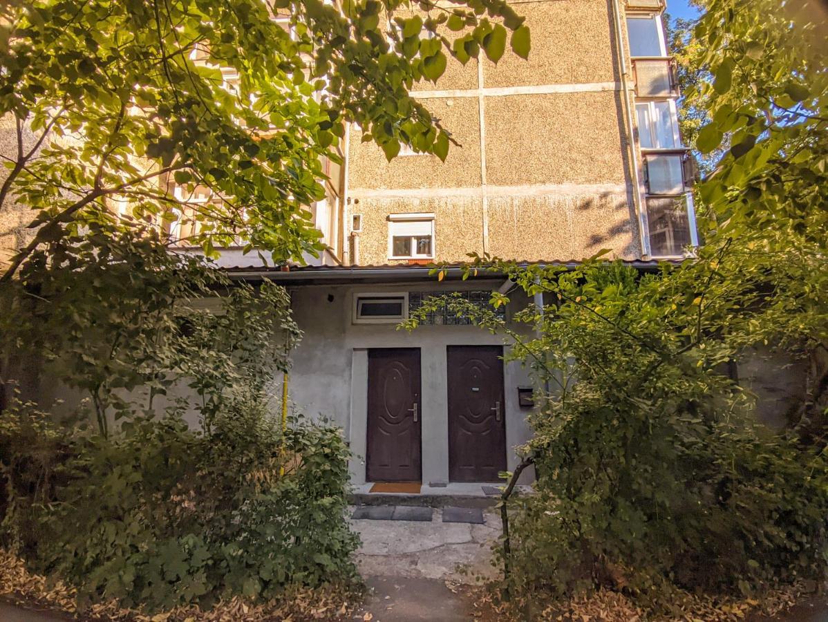 Moss'S Economy Studio Temeşvar Dış mekan fotoğraf