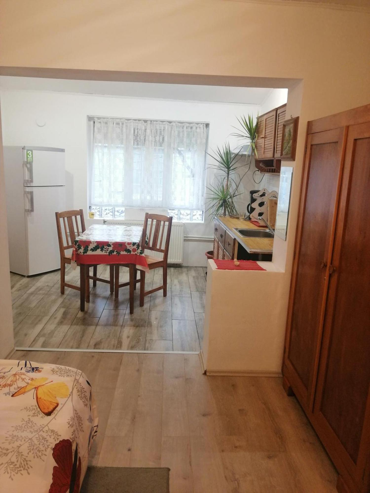 Moss'S Economy Studio Temeşvar Dış mekan fotoğraf